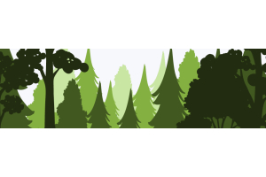 Our contribution to a better world with Trees for All