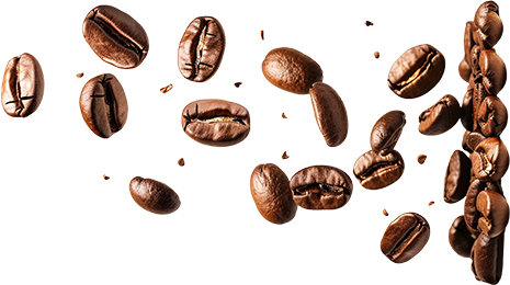 Bolsas de café